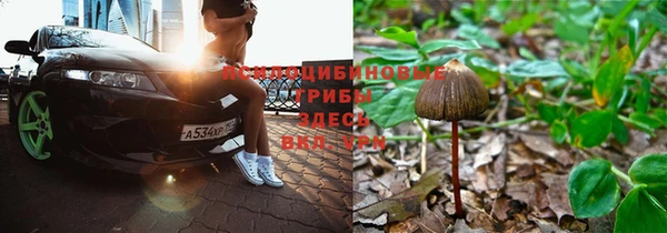 тгк Верхний Тагил